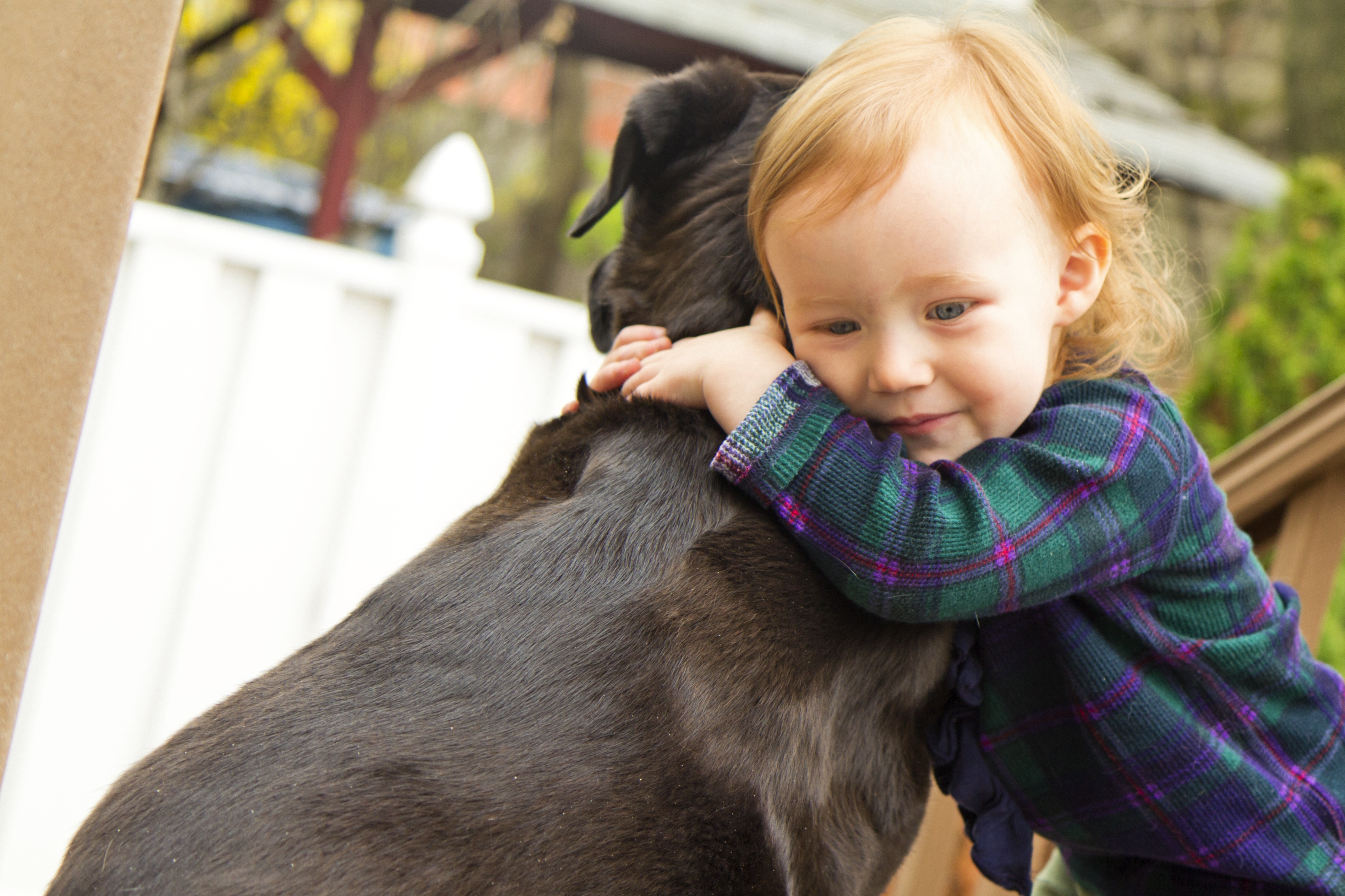 Vad är viktigt att lära barnen när man har hund?